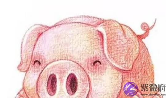 你是属猪人吗？若你名字中带这些“字”，说明了你此生的福气深