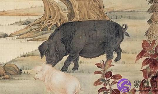 十二生肖之属猪人，从出生月份、时辰看一生成败起伏，太准了！