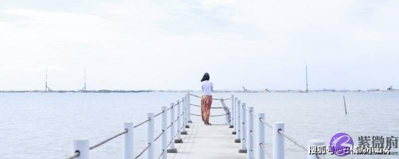 属猪人2022年运势如何 ?综合运势略差?