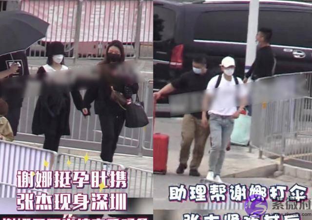 品牌方疑证实谢娜去国外生二胎，老公张杰和双胞胎女儿陪在身边