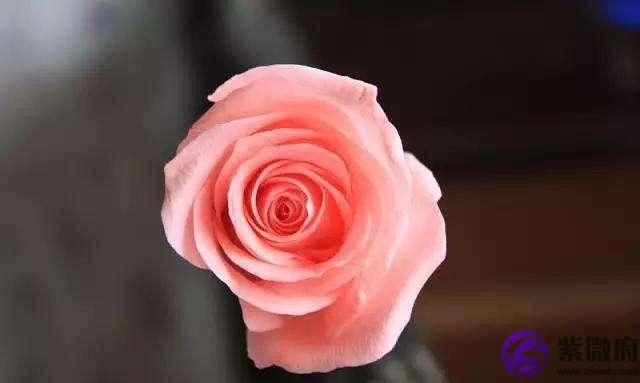 5月开始事业春风得意，天赐好运，做梦都笑醒的四大生肖