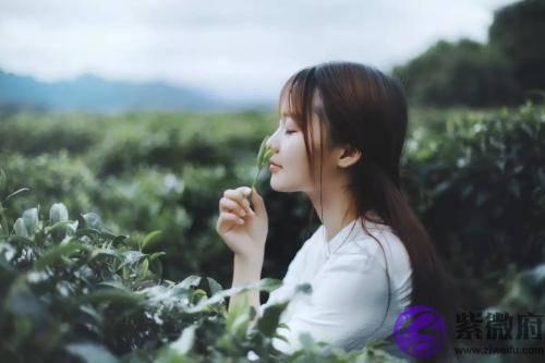 生辰分析：到了该结婚的年龄，内心却排斥恋爱，官杀过旺就是这种感觉