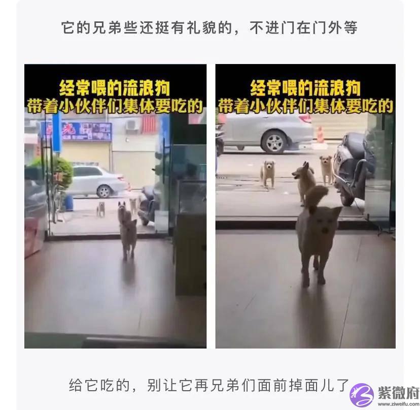 怎麽委婉的问医生宝宝的性格？