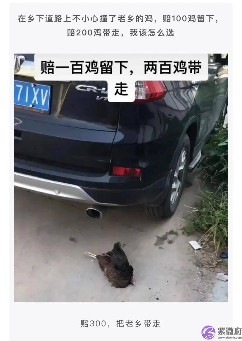 怎麽委婉的问医生宝宝的性格？