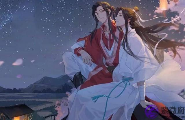 花怜小剧场：太子殿下的生辰，花城当真是好没诚意