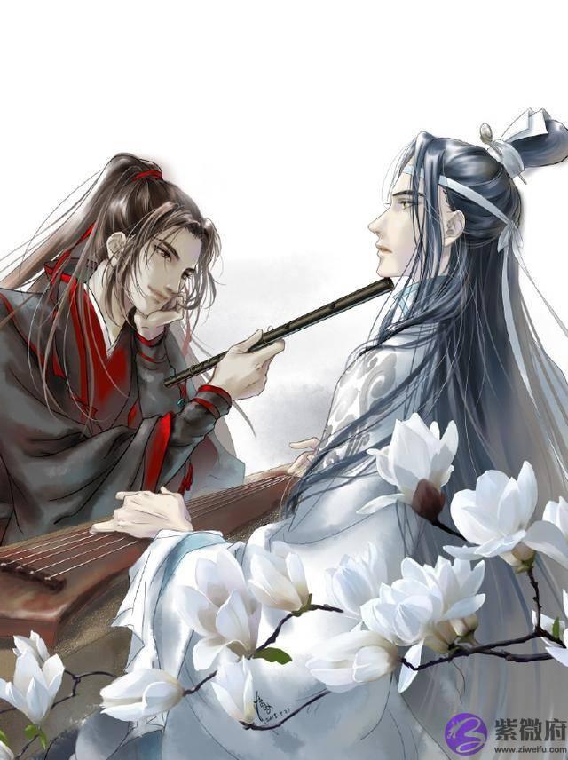 花怜小剧场：太子殿下的生辰，花城当真是好没诚意