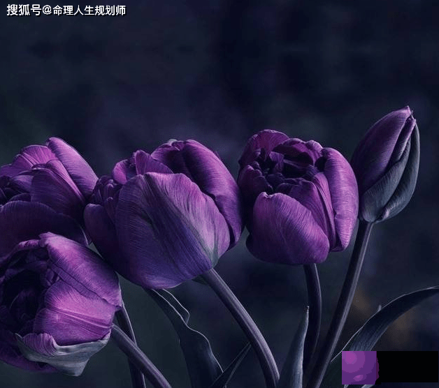 财运生辰看财运，正官不显偏财多的人，如何发展稳定的事业？