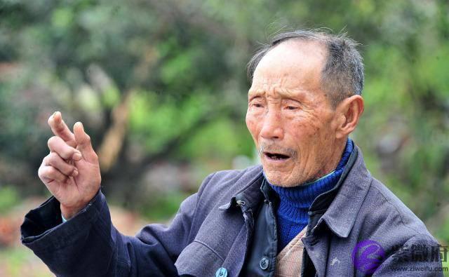 农村俗语：正月逢三亥，猪当黄金卖，啥意思？2020年养猪还赚钱？