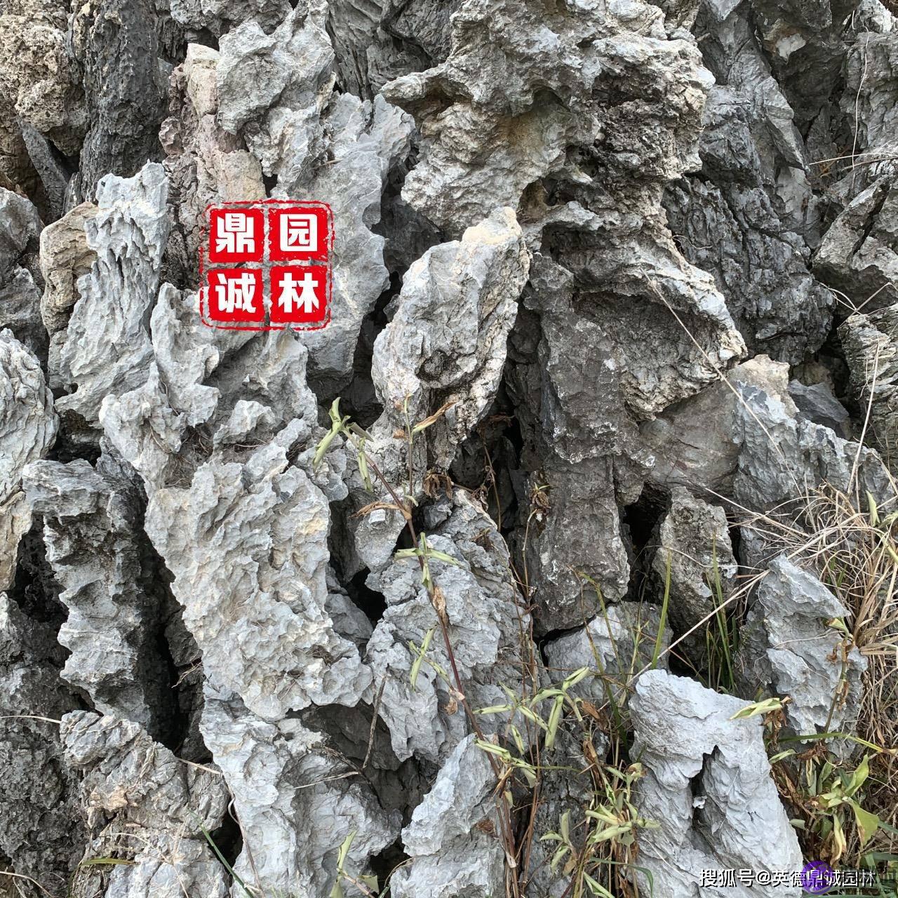 英石青龙石作用于鱼缸点缀小型假山