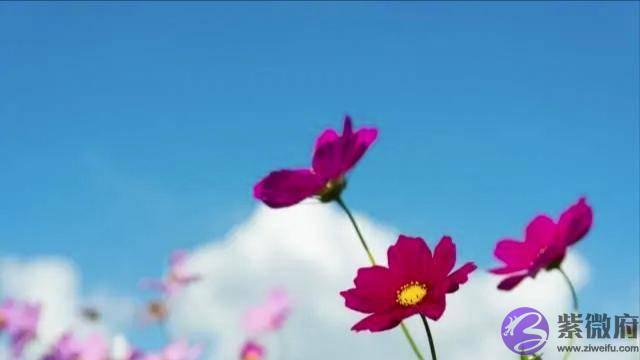 两个人合不合适，一开始就注定了