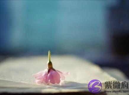 两个人合不合适，其实，一开始就注定