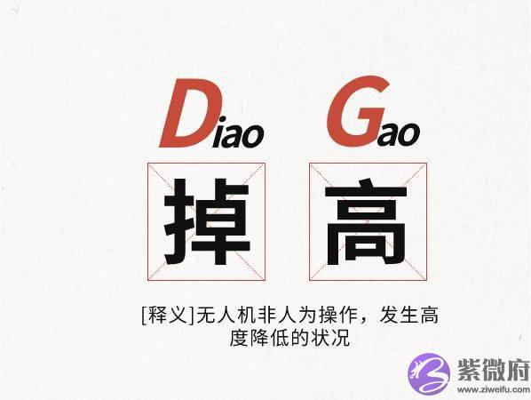 听说你分享的无人机“黑话”，能亮相世界无人机大会