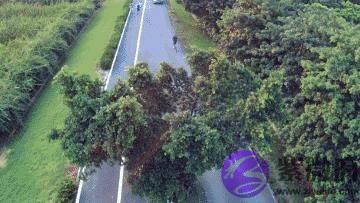 浅谈国内跟随系留无人机技术和实践(1)