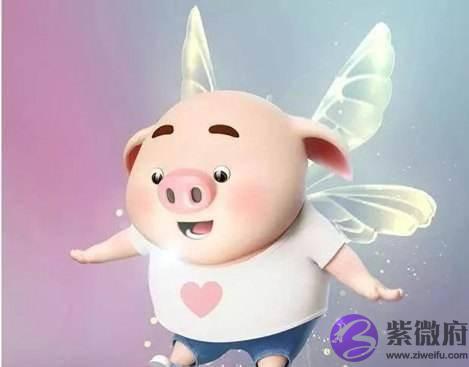 属猪的宝宝几月出生最好，几月出生不好？