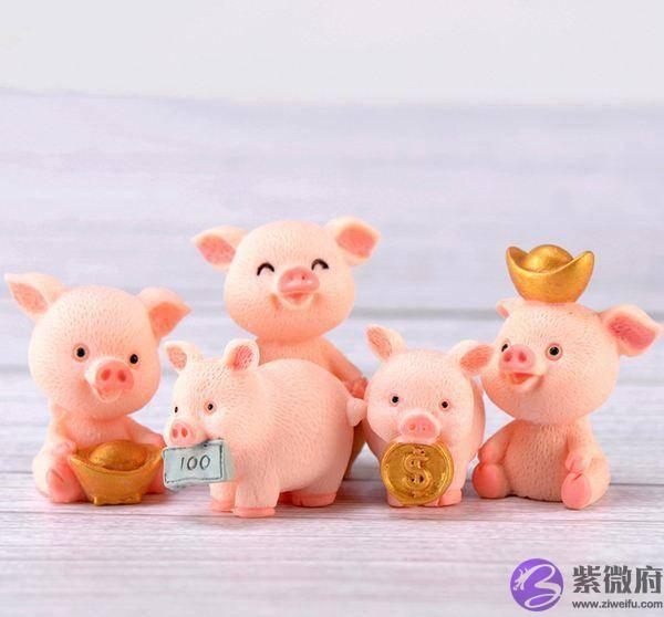 属猪的宝宝几月出生最好，几月出生不好？