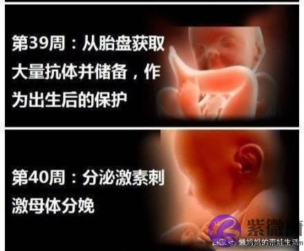 白天出生的宝宝和晚上出生的宝宝有何区别？意义不大，区别却不小