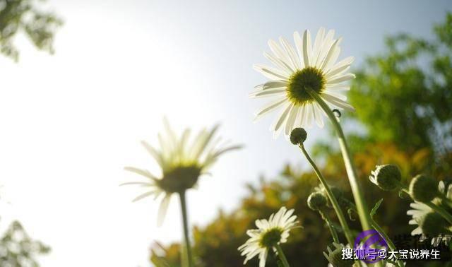 十二月初，厄运消散，好消息连绵不断，开始新生活的星座