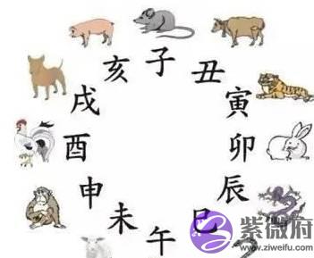 看懂十二地支，让你用生辰轻松识人辨事，少走弯路