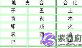 看懂十二地支，让你用生辰轻松识人辨事，少走弯路
