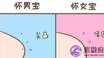 孕期怎麽判断生男生女？试试几个方法，满足好奇心