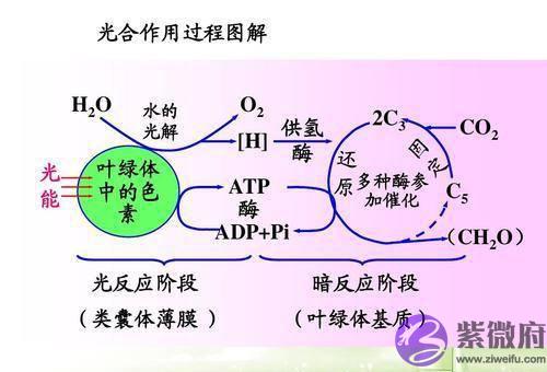 金木水火土如何相生相克？有科学规律吗？揭露2000年谎言