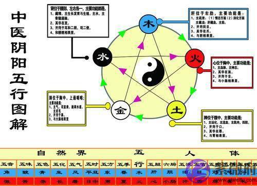 金木水火土如何相生相克？有科学规律吗？揭露2000年谎言