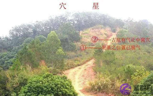 赌王何鸿燊为续命用过的那些秘术