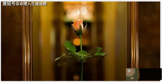 财运生辰看财运，如何通过生辰原局铸就好的财气运程