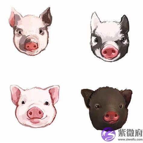 这个人火气为什麽这麽大？（二）——拟物化的五行平衡