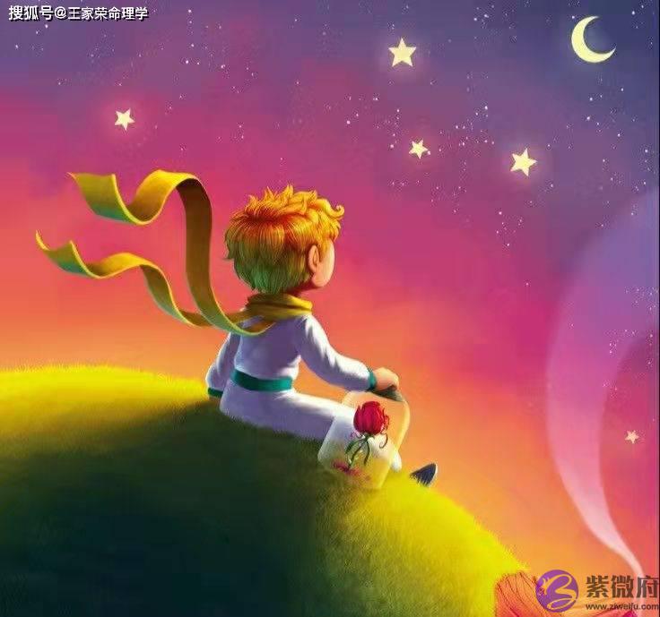 脱单的十二星座感情运 12星座下半年爱情运