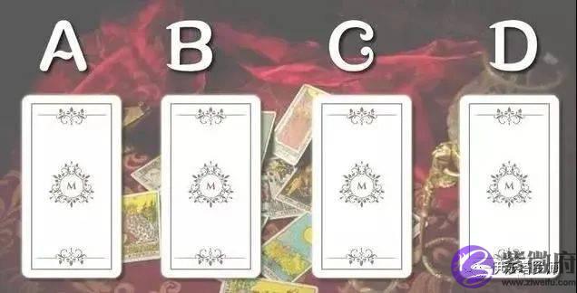 塔罗：你的七月感情运势
