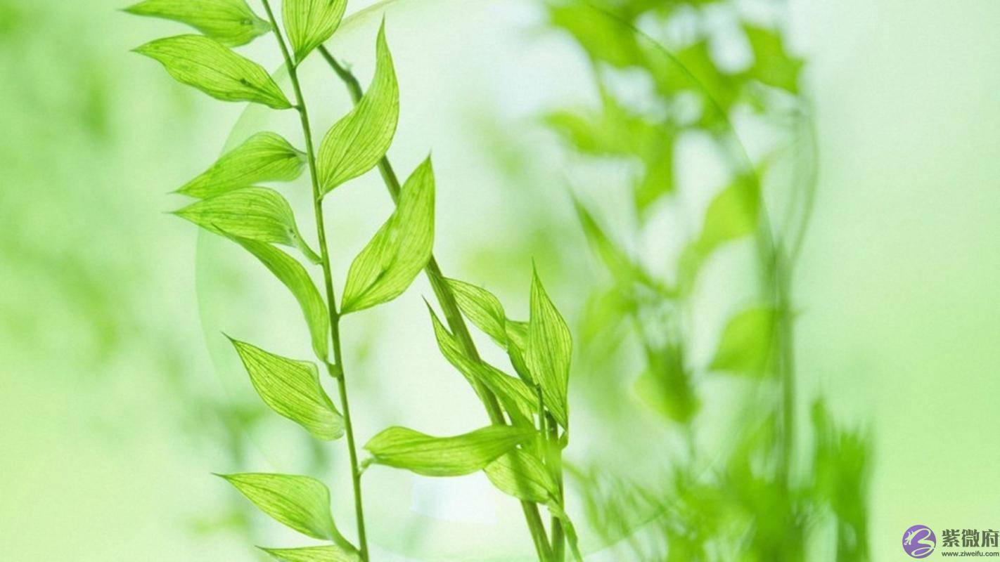 生辰生辰详细分析：什麽样生辰特征的男人是用情不专、滥情之人