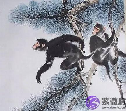 属猴人2022年运势怎麽样？如何改变气运