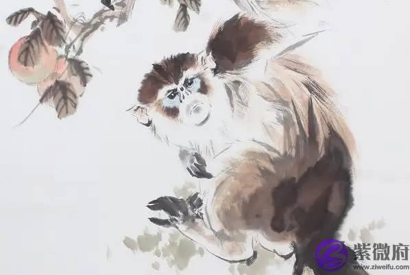 属猴人2022年运势怎麽样？如何改变气运