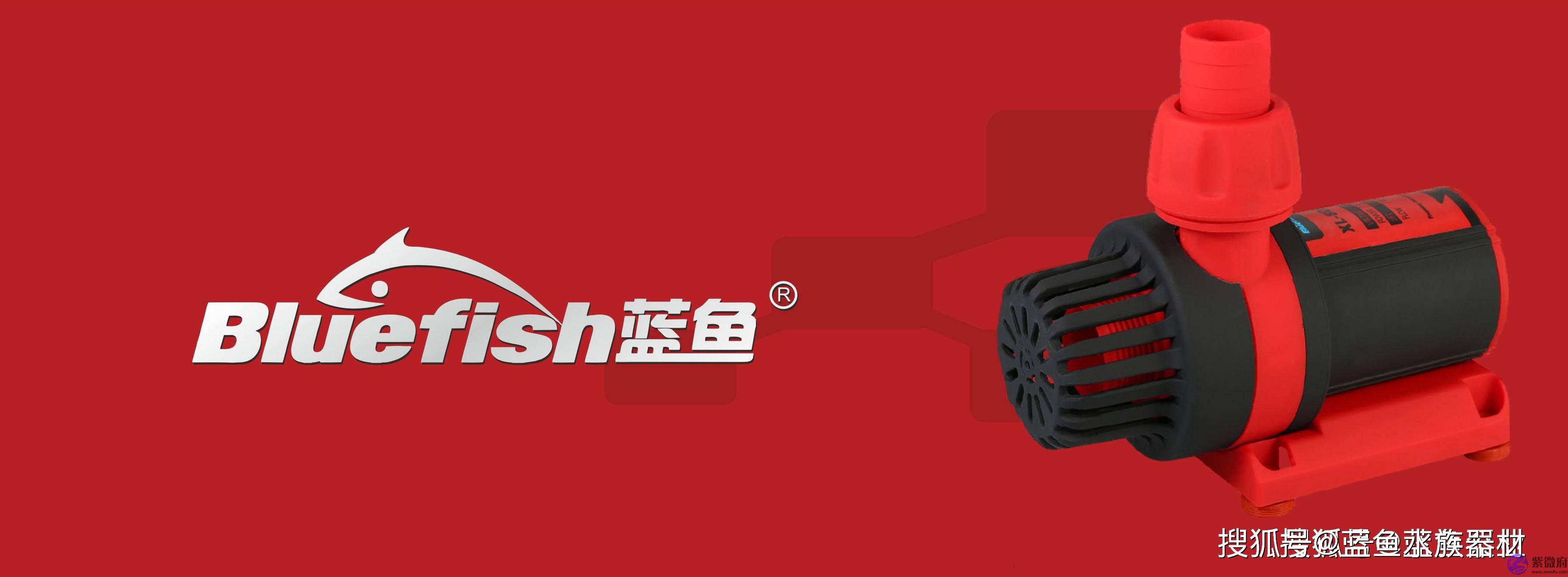 “微型水泵”、“扬程”、“最大扬程”