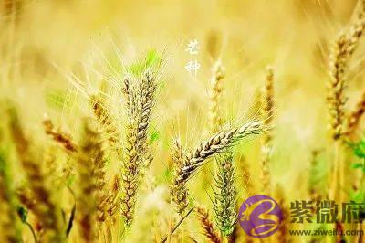 端午，聊聊神奇的二十四节气