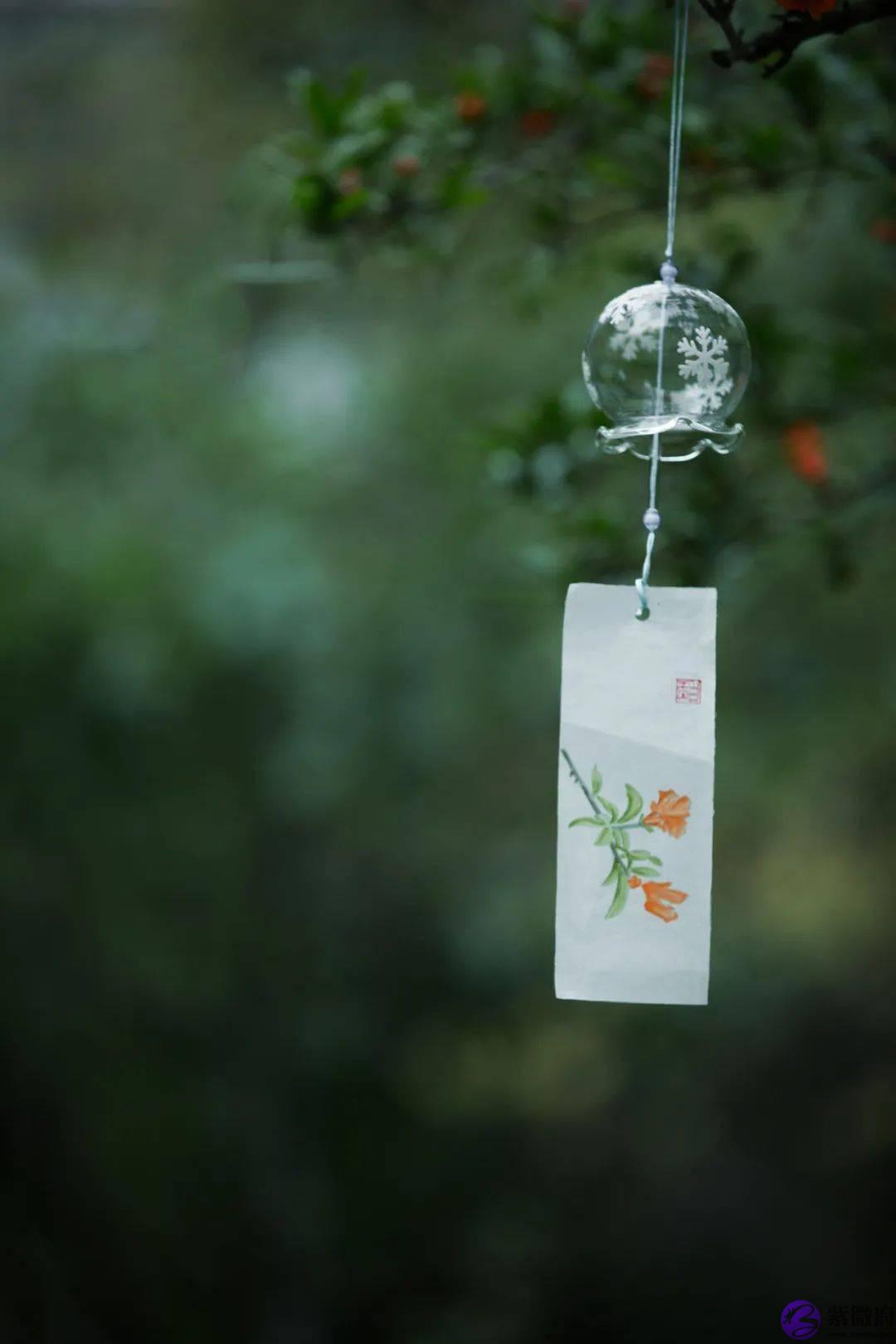 二十四节气，二十四番花信风，美到窒息！