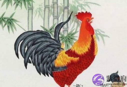属鸡的人要“小心了”，八月初大运降临，接不住就错过了！