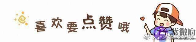 宝宝起名周易取名：2022年7月9日六月十一出生的虎宝喜用属性