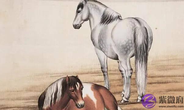 1990年出生的“庚午马”最好命，注定一生衣禄丰盈，利官近贵