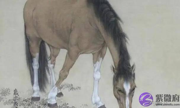 1990年出生的“庚午马”最好命，注定一生衣禄丰盈，利官近贵
