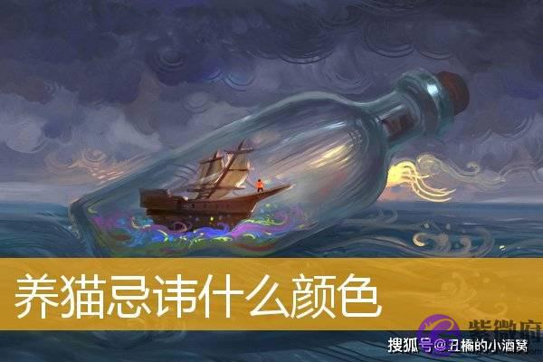 养猫忌讳什麽颜色？