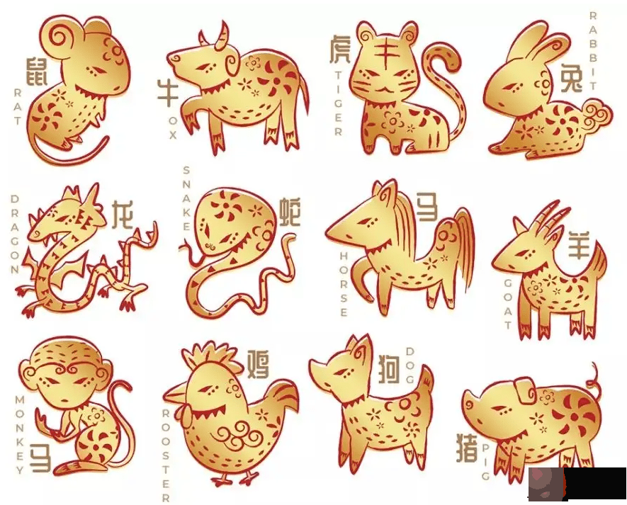 12生肖哪些时辰出生的财运比较好？潍坊王易明