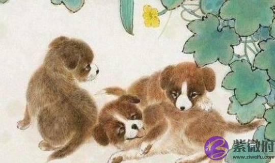 属这几个的注意了，如果你是这几个时辰出生的，那恭喜你有福气了