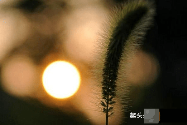 家里有以下时辰出生的孩子，个个“文曲星”，孝顺懂事一生无灾难