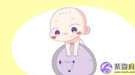 出生时辰与命运息息相关，子女出生这些时辰富贵又多金，光宗耀祖