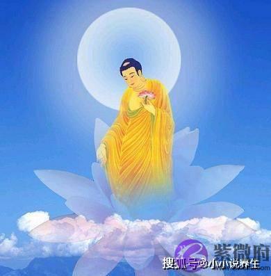 什麽时辰出生的孩子，天生财运旺，旺父旺母！