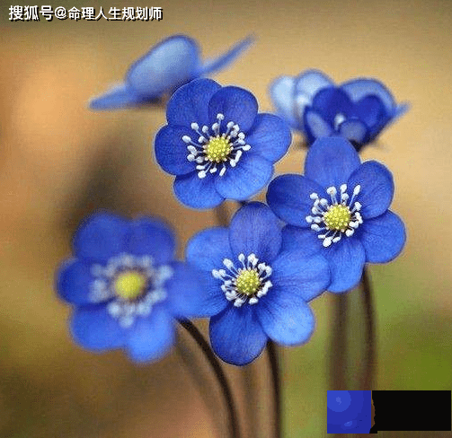 婚姻生辰看婚姻，什麽样的女人不容易找到满意的爱情缘分？