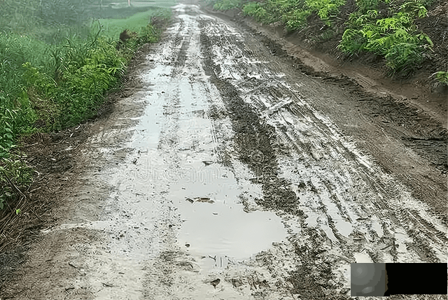 今日六月初六是什麽节日？下雨好还是晴天好？看看农村谚语就知道