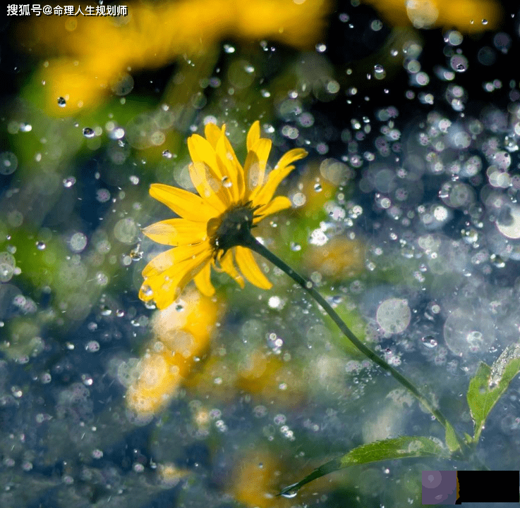 财运生辰看财运，举步维艰，生辰如何分析财运何时才能好起来